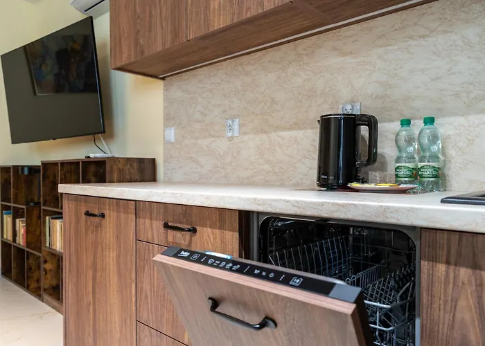 Chopina Cosy By Bookinghost Katovice